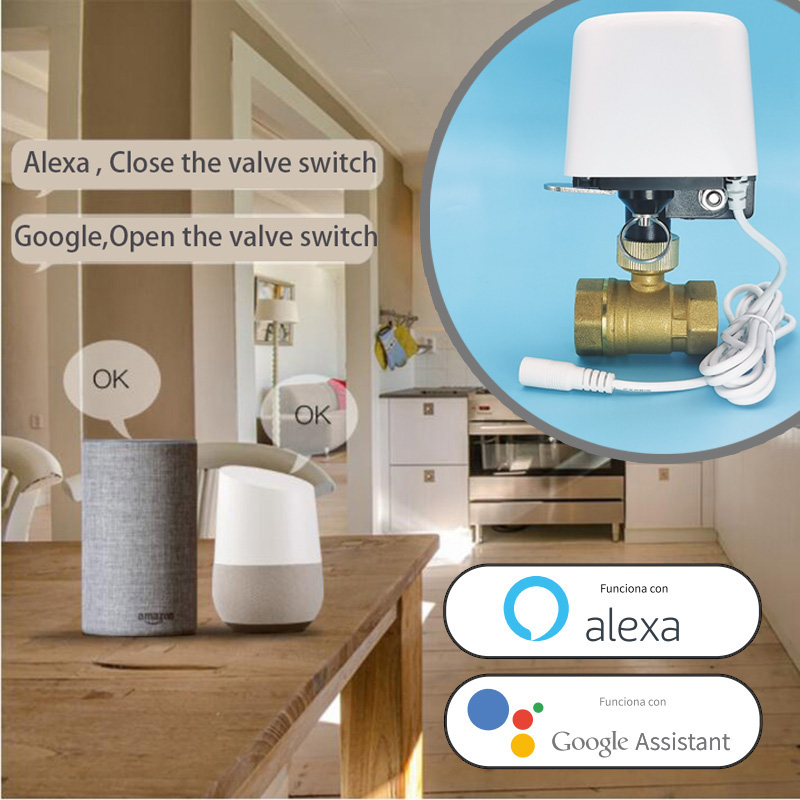Inteligentny timer do podlewan – Smart Garden At Home recenzja i cena
